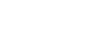 Blueberry Brook Yorkies