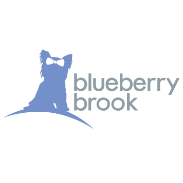 Blueberry Brook Yorkies
